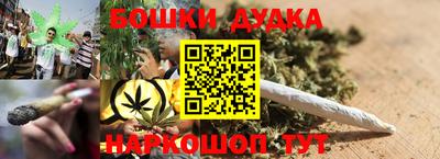 прущие грибы Сланцы