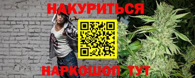 прущие грибы Сланцы